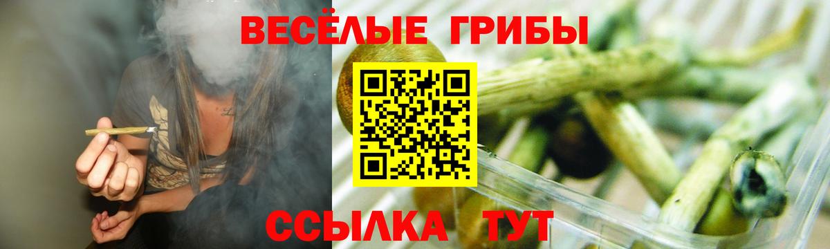 цены   Галлюциногенные грибы ЛСД  Вход с VPN  Моршанск  Галлюциногенные грибы Psilocybine cubensis 